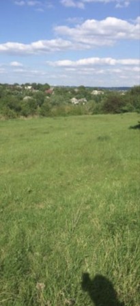 Продам  ровный участок земли гос акт кадастровый номер В краснополье - фото 1