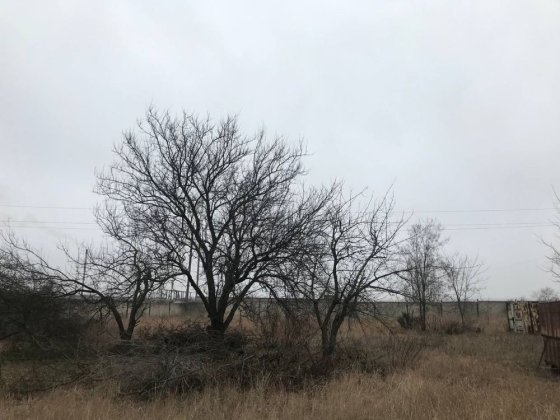 Участок в Таромском Днепр