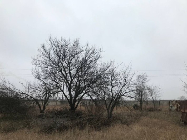 Участок в Таромском - фото 1