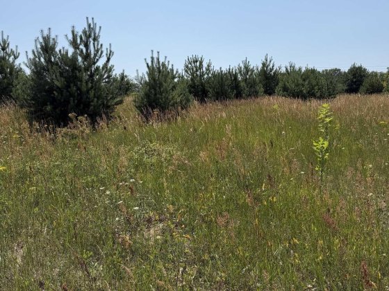 Продаж земельної ділянки по вул. Лукасевича, Львів | Нова на ринку Львов