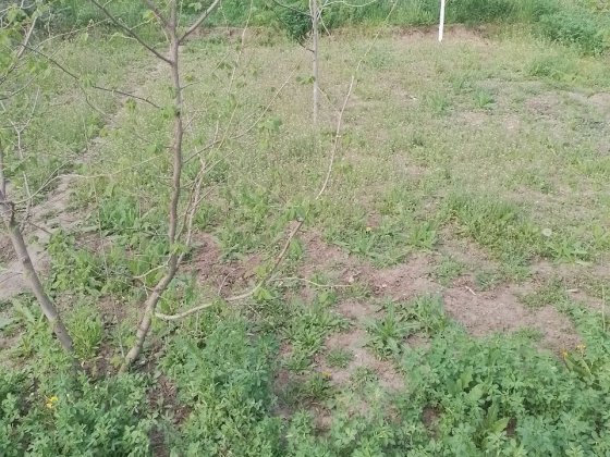 Продається земельна ділянка Кропивницкий