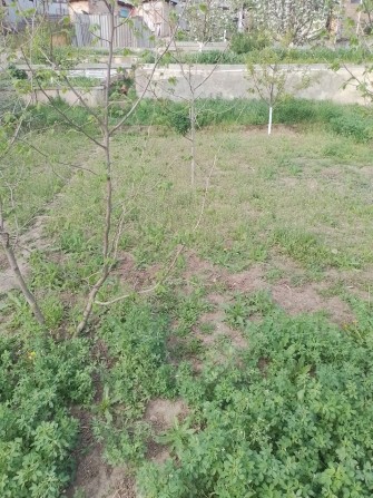 Продається земельна ділянка - фото 1