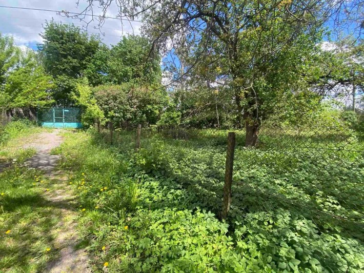 Продаж перспективної земельної ділянки під котеджну забудову по вул. Шевченка - фото 1