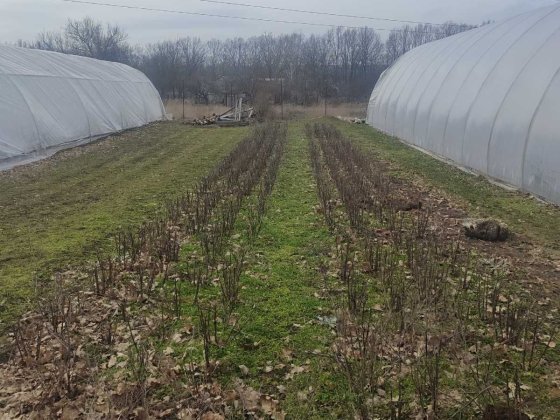Продам дачу  СТ"Петровець -2" Дніпро