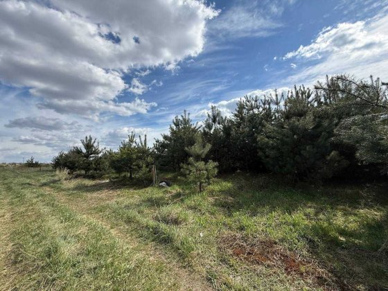 Продаж земельної ділянки по вулиці Лукасевича, 8 соток, біля лісу ! Львов
