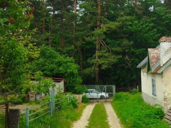 Ділянка біля лісу, Клепарів Львов