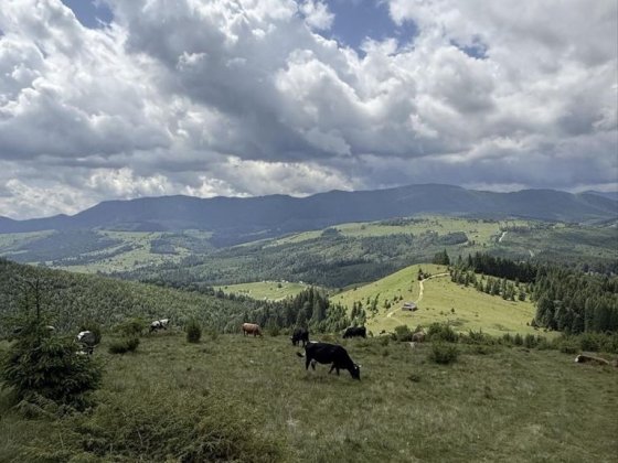 Земельна ділянка в Карпатах під забудову Львов