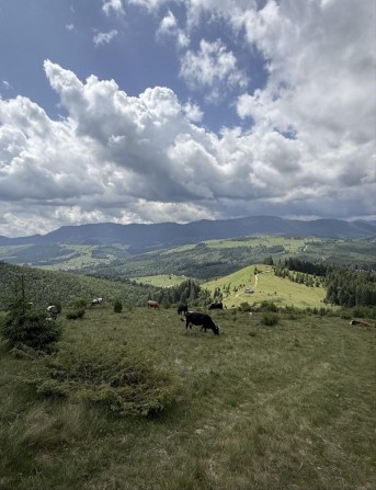 Земельна ділянка в Карпатах під забудову - фото 1