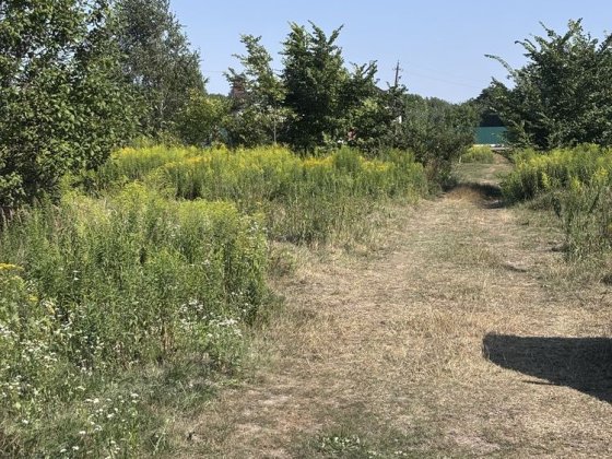 Продаж ділянки під ОСГ, Рясне, Камʼянка, 6 сот 15000$ Львов