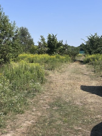Продаж ділянки під ОСГ, Рясне, Камʼянка, 6 сот 15000$ - фото 1
