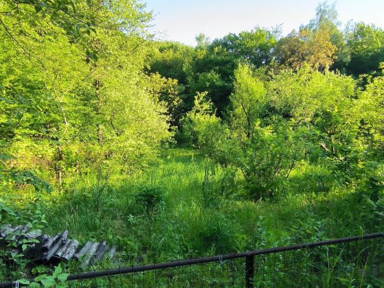 Продаж дачної ділянки м. Львів вул. Лисеницька Львов