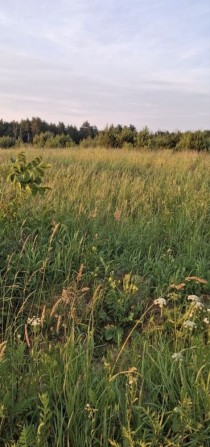 Продаж земельноі ділянки по вул. Лукасевича  «Червона калина» - фото 1