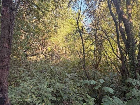 Продаж земельної ділянки урочище Клепарів.БЕЗ КОМІСІЇЇ Львов