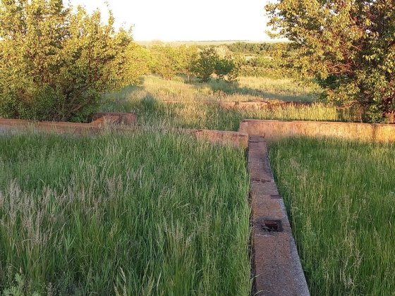 Продам земельну ділянку в Томаківці під забудову (вул Садова) Запоріжжя