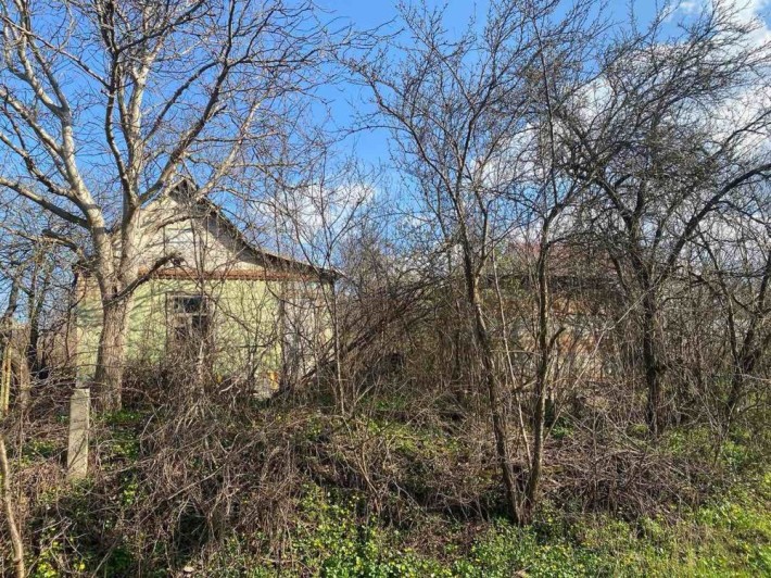 Ділянка на Мирному в гарному місці - фото 1