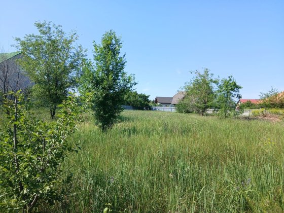 Продаж ділянки  Форум  Лесная земля участок В.Луг Запоріжжя