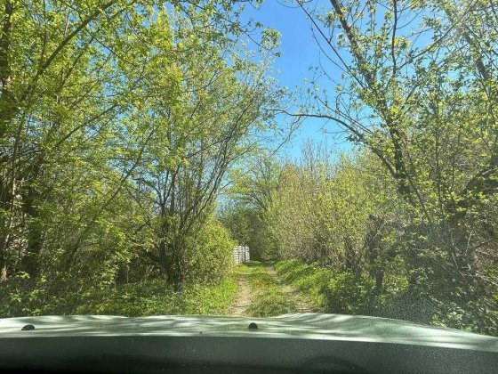 Ексклюзив на Голоско: 12  соток біля лісу! БЕЗ КОМІСІЇ! Львов