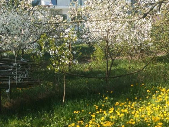 Продається ділянка(район Підрясне- Кожичі) Львов