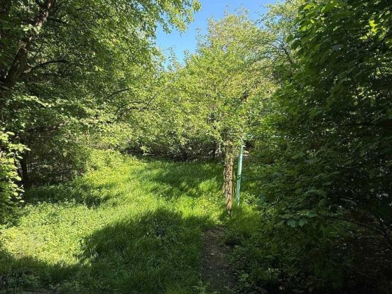 Продаж комерційної ділянки вул. Миколайчука Львов