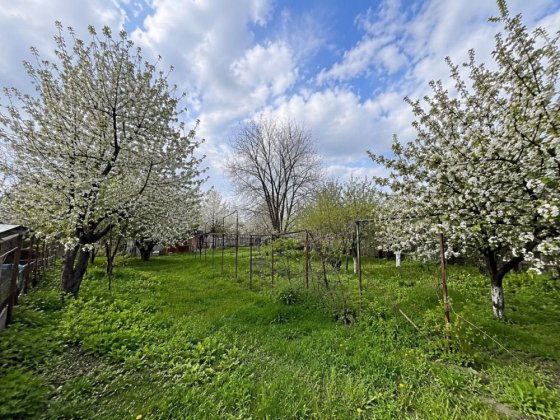 Продаж дачної ділянки м. Запоріжжя Великий Луг 7 інтернат Запоріжжя