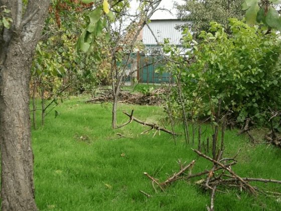 Дачна ділянка під забудову у Миколаєві Миколаїв