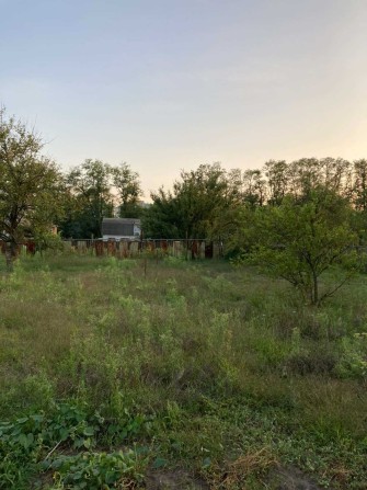 Продам земельну ділянку в с/т "Родник" - фото 1