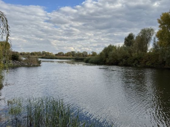 Продам участок Обуховка ул Прибрежна / Комсомольска  СВОЙ БЕРЕГ Дніпро
