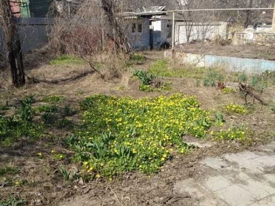 Участок в АРКАДИИ. Одесса