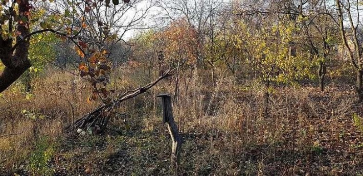 Продам дачну ділянку 6 соток в межах міста, ХТЗ - фото 1