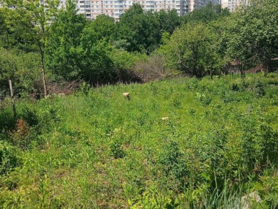 Продам зімельну ділянку 6 соток | Науки 65, Павлово Поле, м. 23 Серпня Харьков