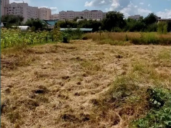 Продам велику земельну ділянку в центрі Софіївської Борщагівки. Софиевская Борщаговка