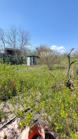 S Продам участок с домом в садовом товариществе Юбилейный - фото 1