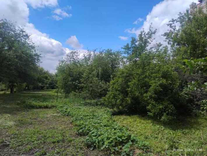 Продам земельну ділянку у Малій Данилівці - фото 1