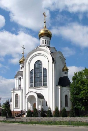 Павлово поле пр. Науки (Ленина) 65 участок возле леса за церковью - фото 1