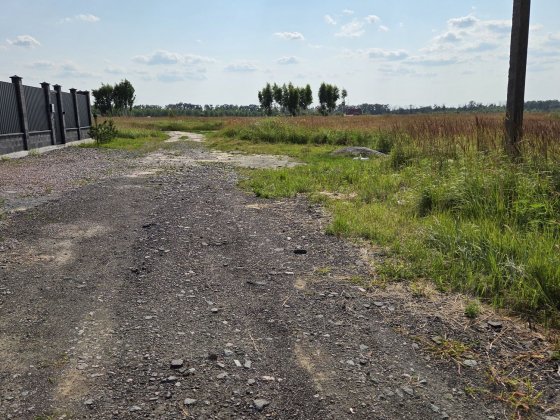 Продаж землі від власника Петропавловская Борщаговка