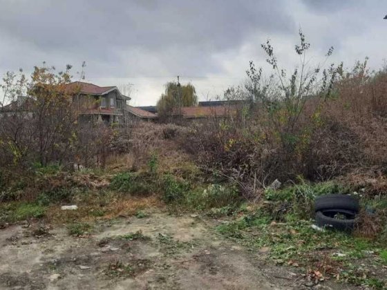 • Земельна ділянка 11,59 соток у с. Софіївська Борщагівка Софіївська Борщагівка