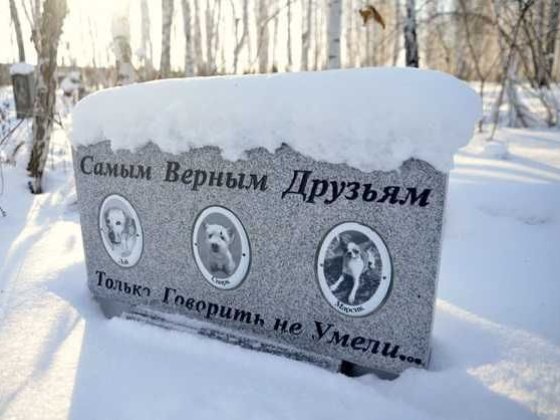 внесено в генплан- под Кладбище животных, Крематорий, кулумбарий Одесса