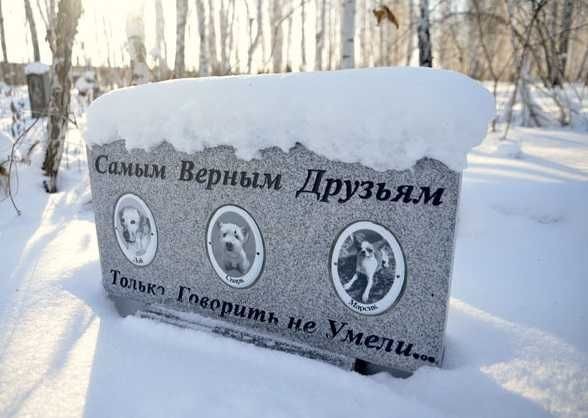 внесено в генплан- под Кладбище животных, Крематорий, кулумбарий - фото 1