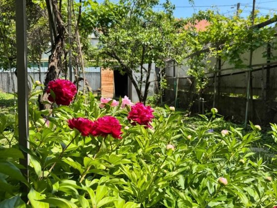 БЕЗ КОМИССИИ! Участок 4 сотки у моря и парка в Киевском районе Одессы Одесса