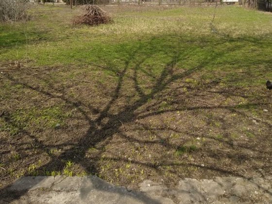 Участок, продажа,  ул.Костанди, 24 сотки Одесса