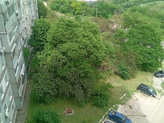 Сдам 1 квартиру Стародніпровська   вільна з 1.10.2026 Запорожье