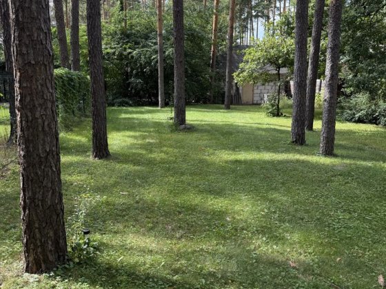 Здам будиночок в лісі на березі озера Мощун