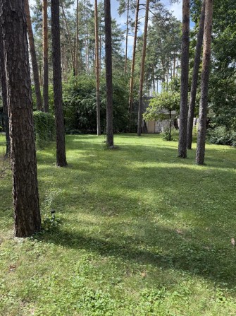 Здам будиночок в лісі на березі озера - фото 1