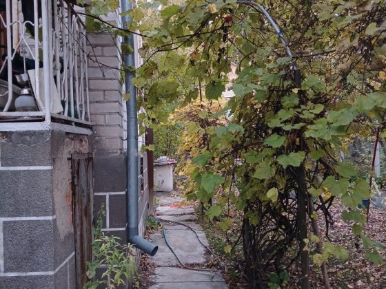 Здам частину будинку Хлепча