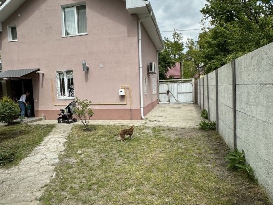 Здам в оренду будинок Ірпінь Ирпень