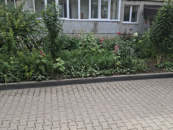 оренда перша здача трикімнатної квартири