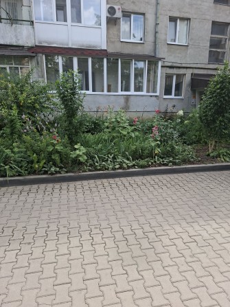 оренда перша здача трикімнатної квартири - фото 1