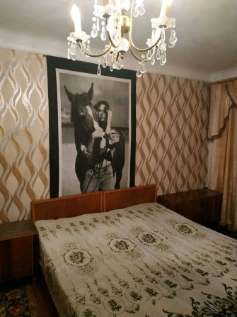 Оренда однокімнатной квартири в центрі - фото 1