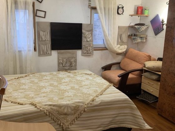 1 кімнатна квартира, від власника, довготривало Киев