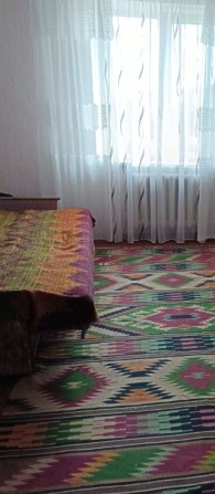 Здається 1 к квартира на ЗСУ - фото 1